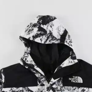  CHAQUETA THE NORTH FACE GORE-TEX ‘SNOW’ - Imagen 7