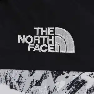 RÉPLICA CHAQUETA THE NORTH FACE GORE-TEX ‘SNOW’ - Imagen 3